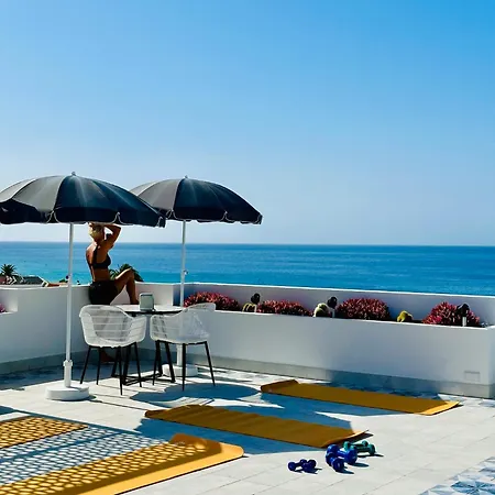 Amber - Pink مورو ذيل خابلِ