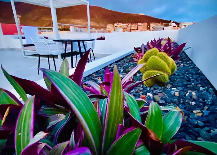 Apartman Amber - Pink Morro Jable (Fuerteventura)