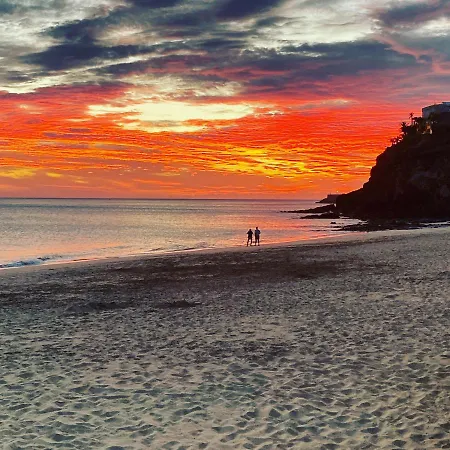 Amber - Pink * مورو ذيل خابلِ