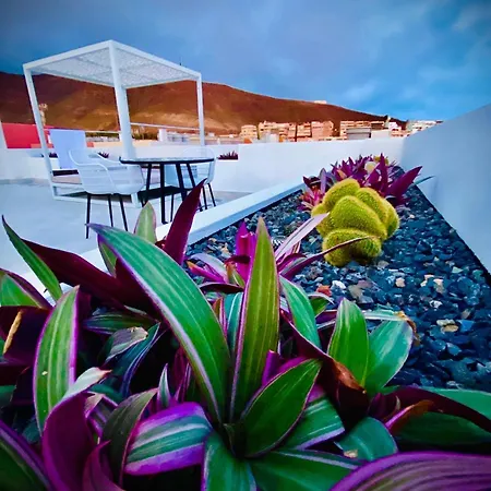 شقة Amber - Pink مورو ذيل خابلِ