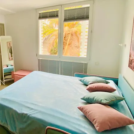 Amber - Pink مورو ذيل خابلِ