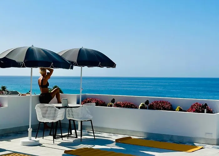 Amber - Pink 莫罗德哈布雷